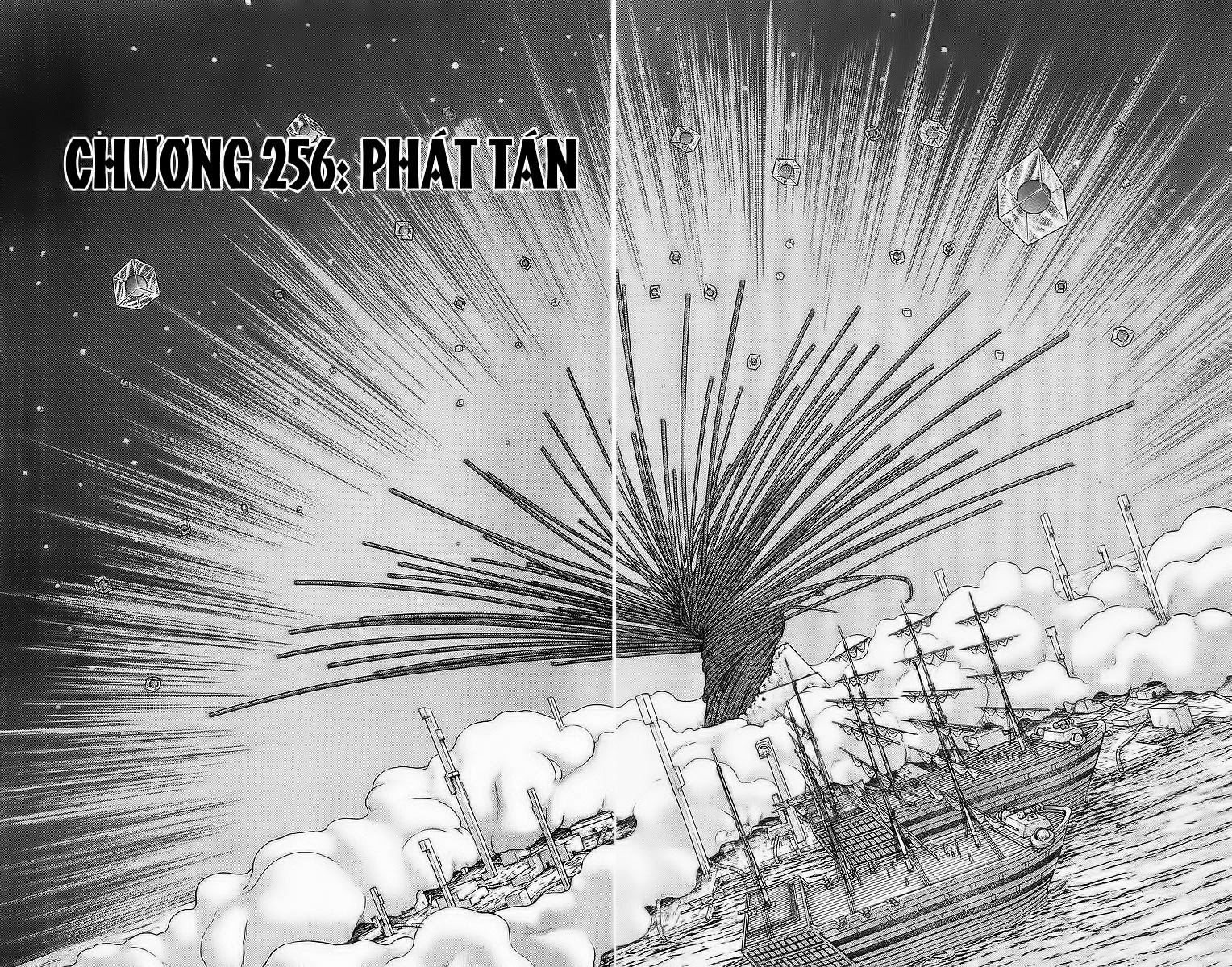 Vua Trên Biển Chap 256 - Next Chap 257 image 5