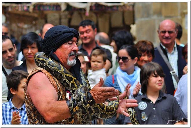DSC_9991 DSC_9991