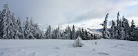 IMG_7474.jpg Photo