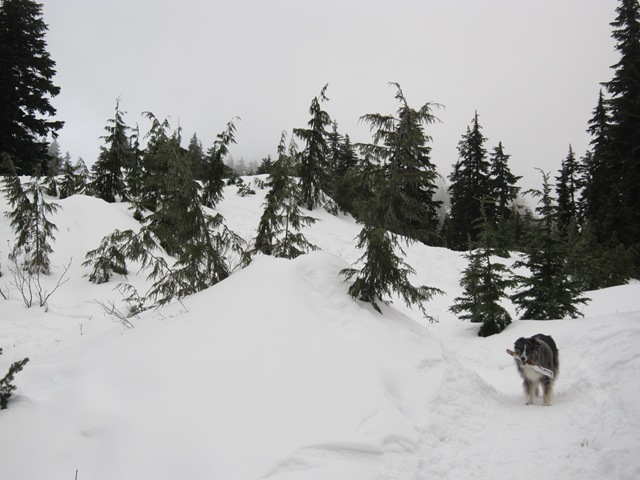 [IMG_6397%255B3%255D.jpg]