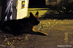 News_120211_Burglary_MidTown_Mav-1.JPG