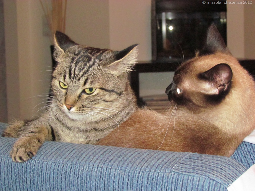 [IMG_4813%255B5%255D.jpg]