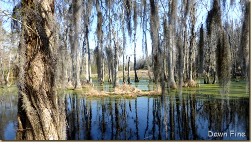 Magnolia Plantation_560