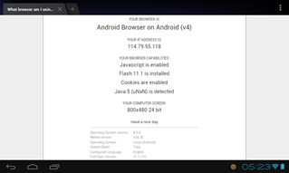 Mengecek nama dan versi browser bawaan Android ICS