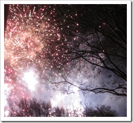 Florida vacation Epcot at night Illuminations fireworks1