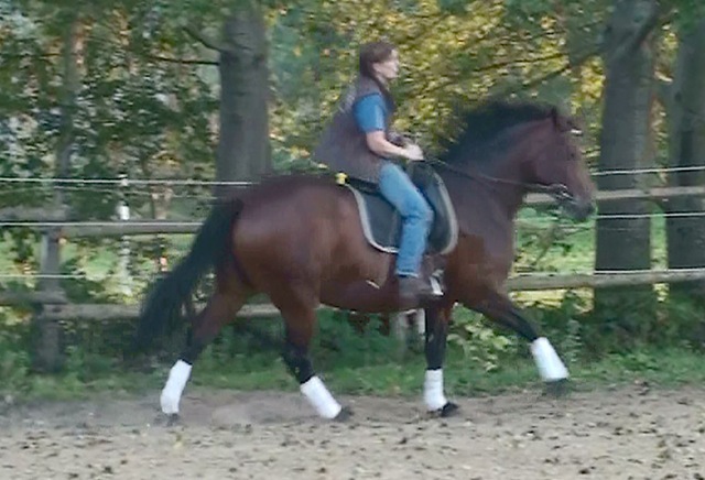 [Cera-galopp%255B4%255D.jpg]