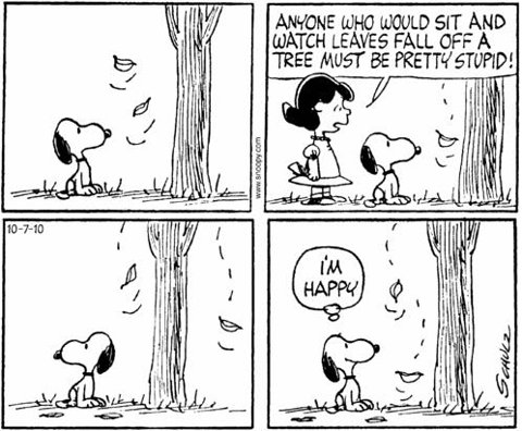 peanuts - snoopy leaves.jpg Peanuts snoopy leaves