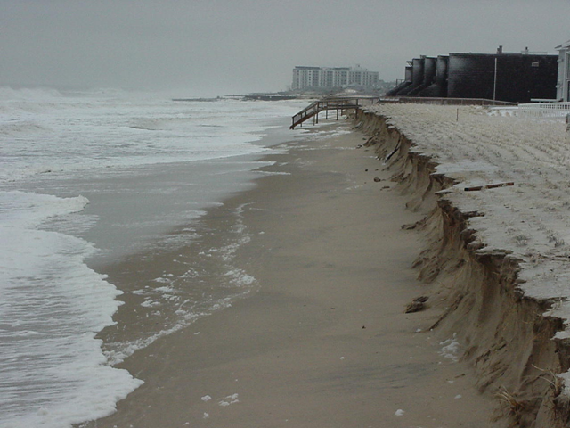 Dune damage in North Shores, near Rehoboth Beach, Delaware, caused by the storm of 25 January 2000. dnrec.state.de.us