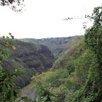 IMG_2354.JPG
