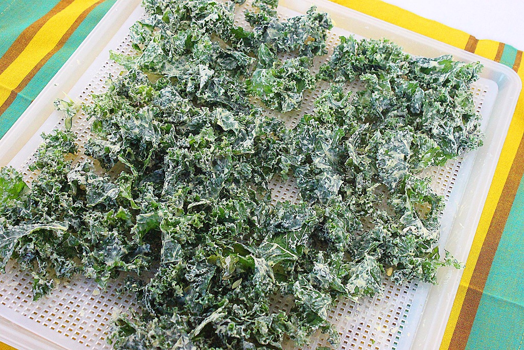 [kale%2520chips%255B5%255D.jpg]
