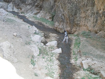 DSCN3942.jpg