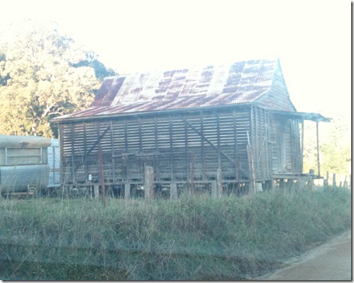 july 2011 050