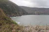IMG_5984.JPG Photo