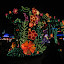 Florida08 194.jpg Florida08 194.jpg
