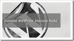 htaccess Hacks for Securing your WordPress blogs