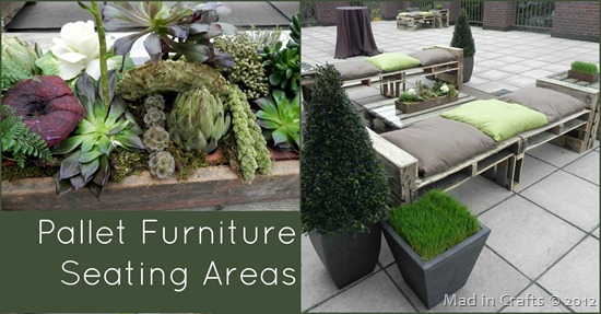 pallet furniture and succulents pallet furniture and succulents