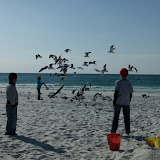 DSCF2651.JPG