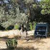 Kreta-08-2011-023.JPG