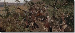 Zulu Readying the Attack