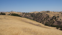 DSC02956.jpg