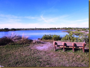 One of the ponds at Robinson Preserve