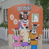 Debbie Looking Like a Cow!