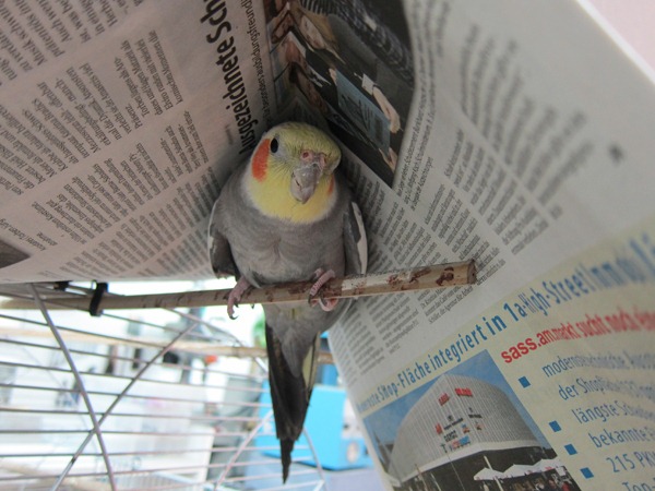 [IMG_9334%255B2%255D.jpg]