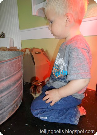 SAM_2512 SAM_2512