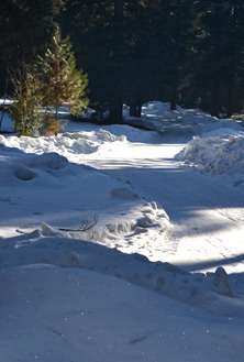 winter ice around home (10)