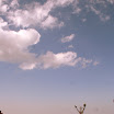 img_4832.jpg