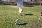 Which way to go?  Which way to go?