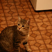 IMG_2697.jpg