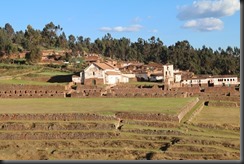 IMG_5271 IMG_5271