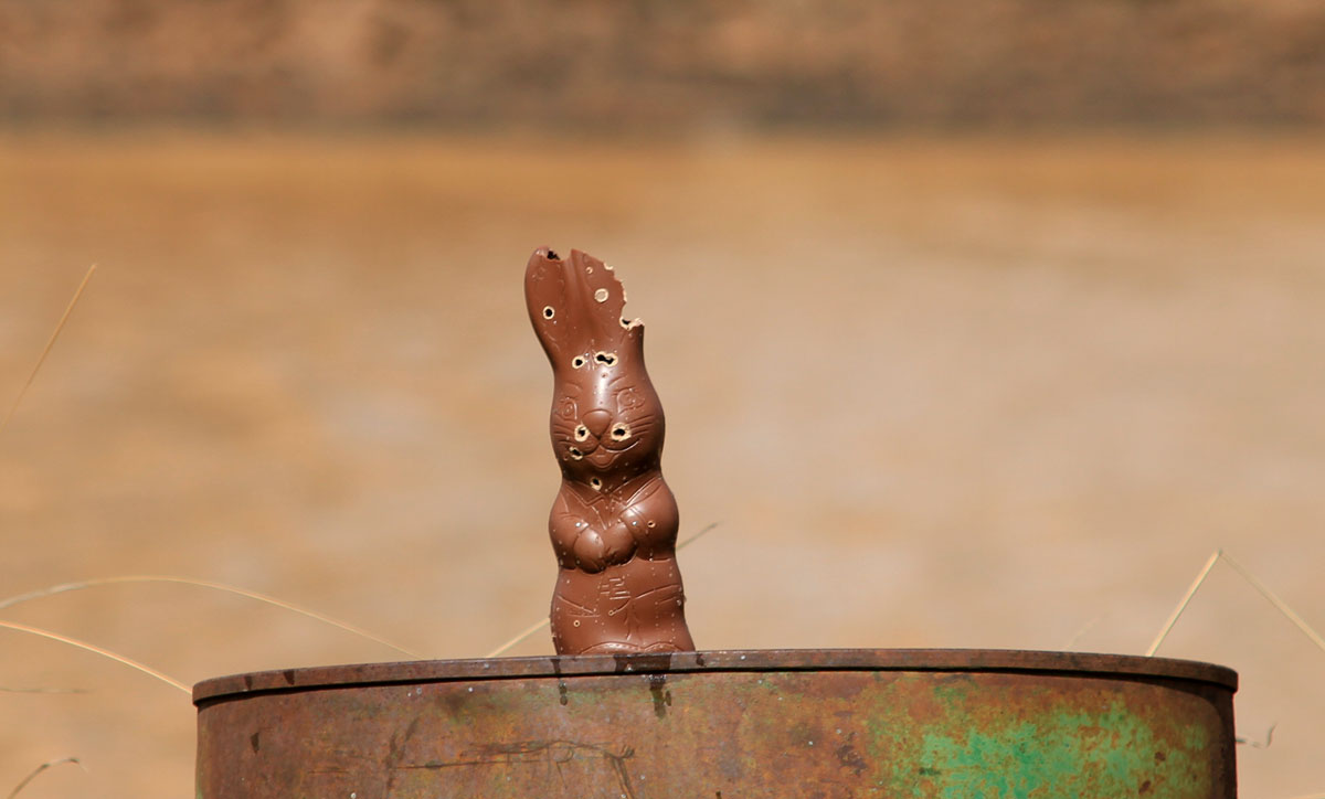 A shot Easter Bunny