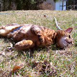 IMAG0190.jpg