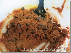 flourless chocolate peanut butter chocolate chip cookies - The Backyard Farmwife