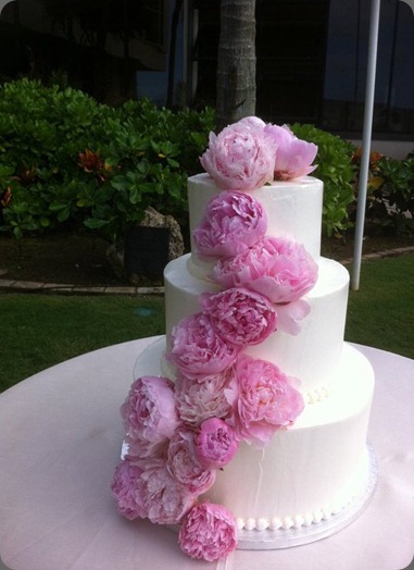 pink peonies 217497_10150162657480975_341338980974_6828201_1090583_n yvonne design pink peonies 217497_10150162657480975_341338980974_6828201_1090583_n yvonne design