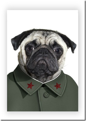 Mao%20web%20card