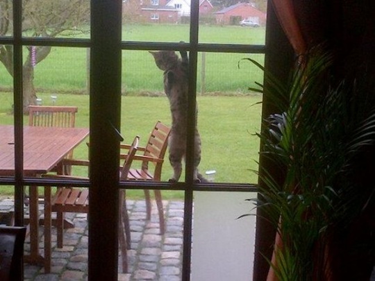 [viral-picdump-b71dcf%255B2%255D.jpg]