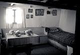 IMG_6018.jpg