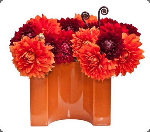 Dahlia Delight_500x500 floral art