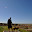 DSC_0231.jpg