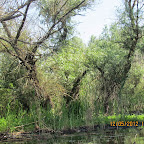 IMG_7650.JPG