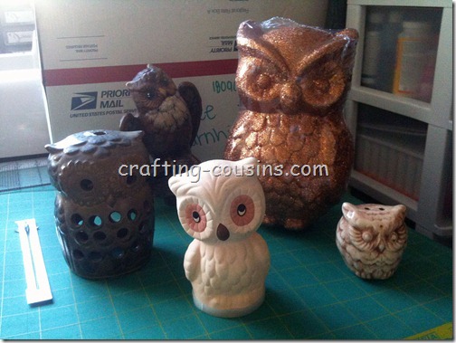 Owls (2)