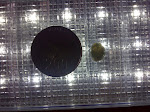 IMG-20111113-01721.jpg