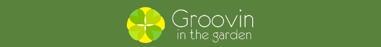 [groovin%255B4%255D.jpg]