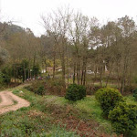 90.jpg