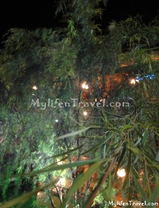 Mae Salong Restaurant 13 Mae Salong Restaurant 13