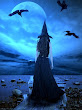 A Witch On A Seaside