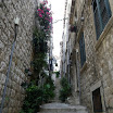 IMGP1084.JPG